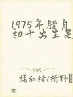 1975年腊月初十出生是什么命