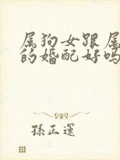 属狗女跟属牛男的婚配好吗