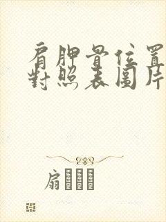 肩胛骨位置疼痛对照表图片