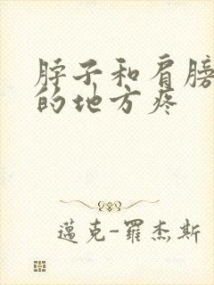 脖子和肩膀连着的地方疼