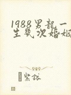 1988男龙一生几次婚姻封面