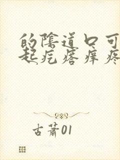 的阴道口可里面起疙瘩痒疼怎么回事