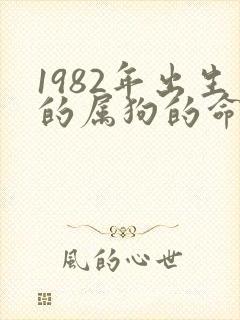 1982年出生的属狗的命运