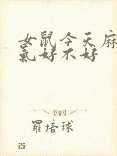 女鼠今天麻将运气好不好封面