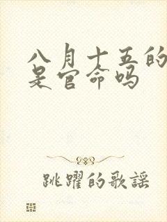 八月十五的男孩是官命吗封面