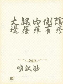 大腿内侧阴囊两边瘙痒有疹子