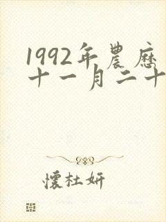 1992年农历十一月二十八是什么命