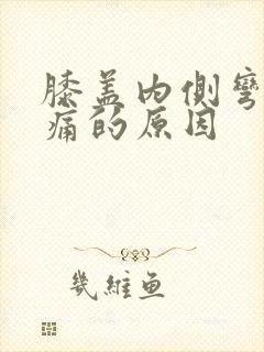 膝盖内侧弯曲疼痛的原因