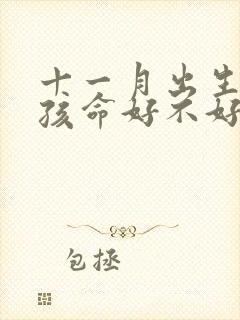 十一月出生的男孩命好不好