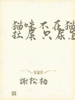 猫咪不在猫砂盆拉屎 只尿怎么办