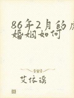 86年2月的虎婚姻如何封面