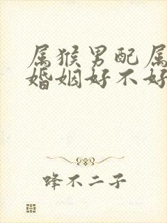 属猴男配属狗女婚姻好不好