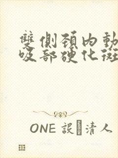 双侧颈内动脉虹吸部硬化斑块