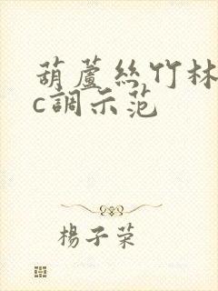 葫芦丝竹林深处c调示范