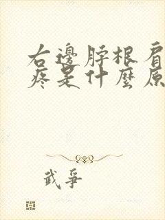 右边脖根肩膀处疼是什么原因