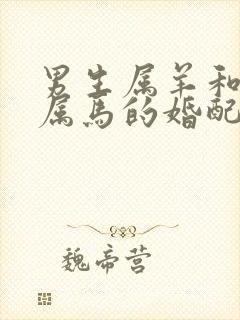 男生属羊和女生属马的婚配合适吗