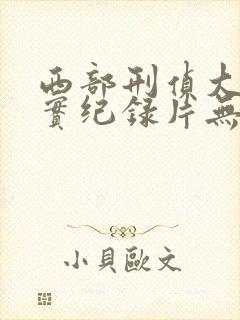 西部刑侦大案纪实纪录片无删减封面