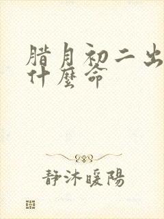 腊月初二出生是什么命