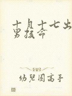 十月十七出生的男孩命