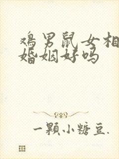 鸡男鼠女相配的婚姻好吗