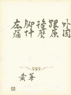 左脚后跟外侧疼痛什么原因