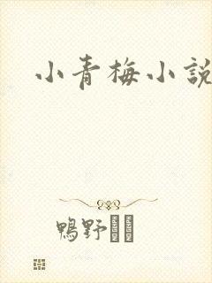 小青梅小说封面
