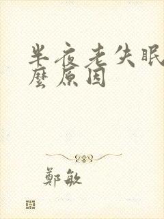 半夜老失眠是什么原因