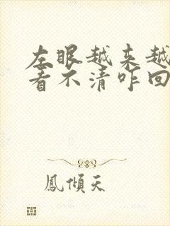 左眼越来越模糊看不清咋回事封面