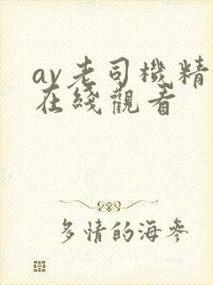 av老司机精品在线观看