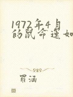 1972年4月的鼠命运如何封面