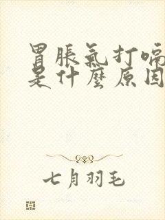 胃胀气打嗝想吐是什么原因