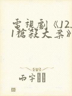 电视剧《12.1枪杀大案》