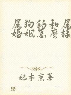 属狗的和属兔的婚姻怎么样