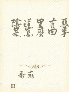 阴道里有恶臭味是怎么回事