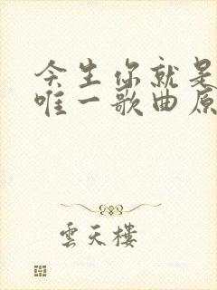 今生你就是我的唯一歌曲原唱封面