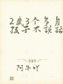 2岁3个多月的孩子不说话怎么回事