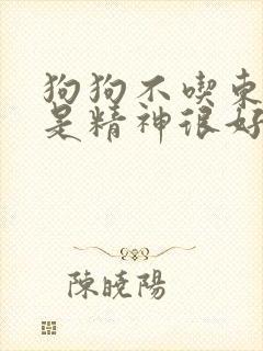 狗狗不吃东西但是精神很好