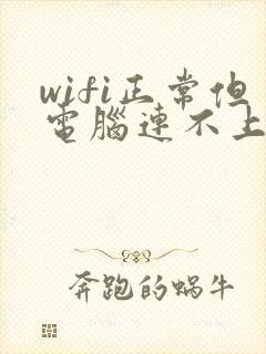 wifi正常但电脑连不上网
