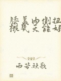 膝盖内侧扭了大概几天能好封面