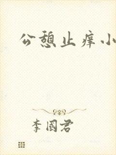公憩止痒小说封面