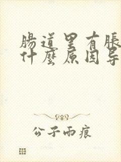 肠道里有胀气是什么原因导致的封面