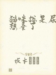 猫咪总是尿闭不想养了封面