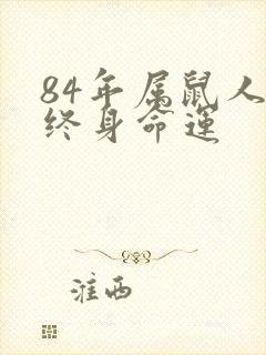 84年属鼠人的终身命运