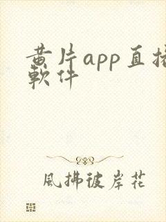 黄片app直播软件