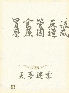 胃食管反流是什么原因造成的