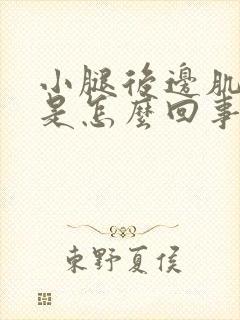 小腿后边肌肉疼是怎么回事