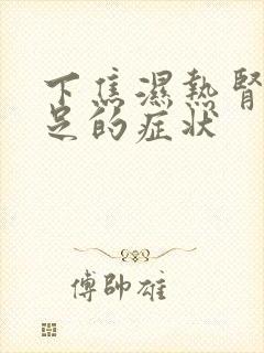 下焦湿热肾气不足的症状