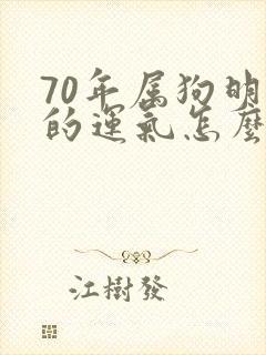 70年属狗明天的运气怎么样