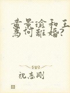 黄景瑜和王雨馨为何离婚?