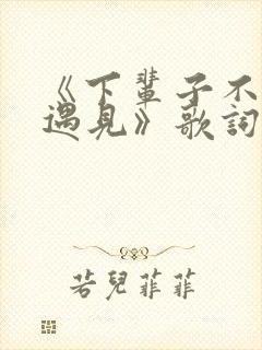 《下辈子不一定遇见》歌词封面